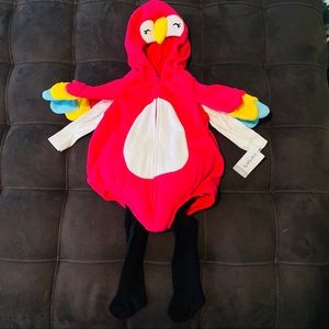 Carter Costume Baby 👶 Parrot🦜